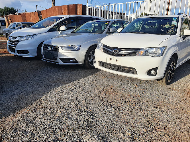 Hive Motors