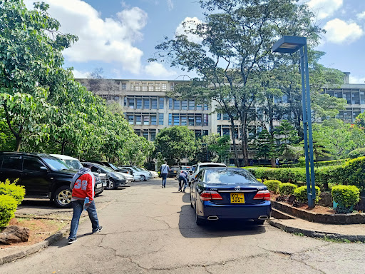 University Of Nairobi - School Of The Arts And Design