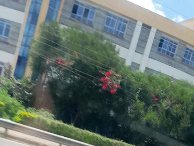 Langata Road Primary School