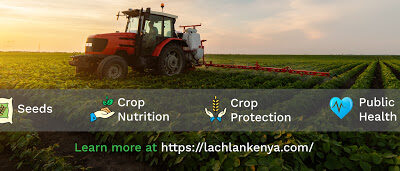 Lachlan Kenya Limited