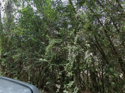 Sembi Car Hire K