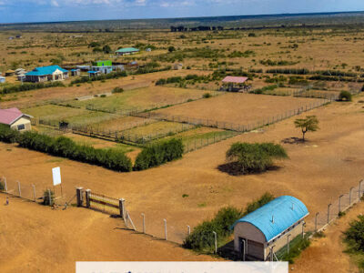 Cledun Realtors Ltd