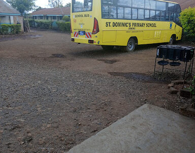 St Dominic Primary School