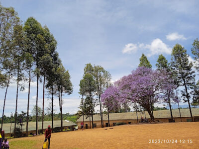 Kamutua Secondary School