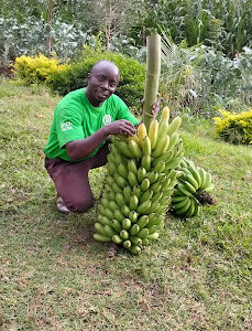 Hums Agrovet Supplies And Services
