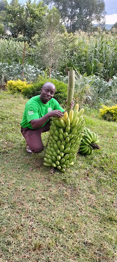 Hums Agrovet Supplies And Services