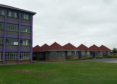 Brighton International School