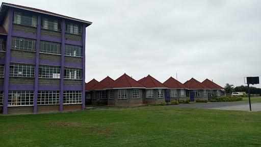 Brighton International School