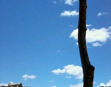 Blue Cottage Academy Pri Sch