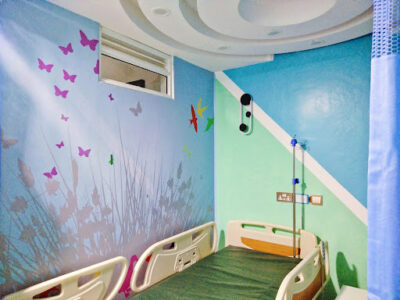 Meru Doctors Plaza Ltd