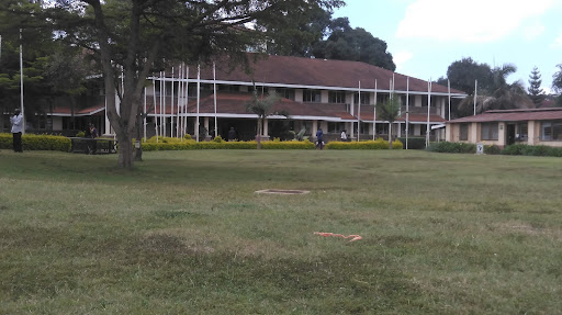 Africa International University.