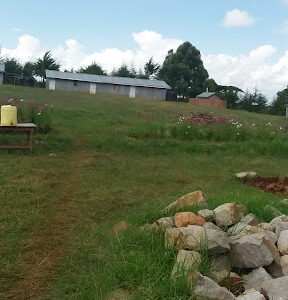 Bright Star School And Compound