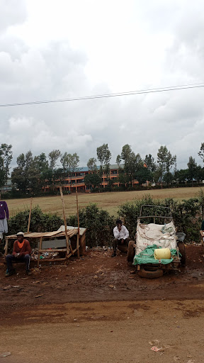 Mama Ngina Senior High School