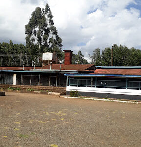 Muguga High School