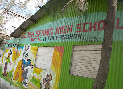 Springs High School