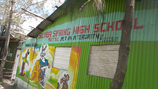 Springs High School