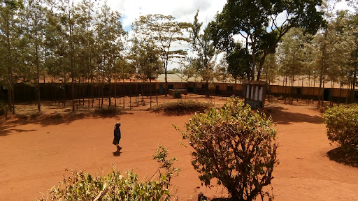 Gachoka Primary School