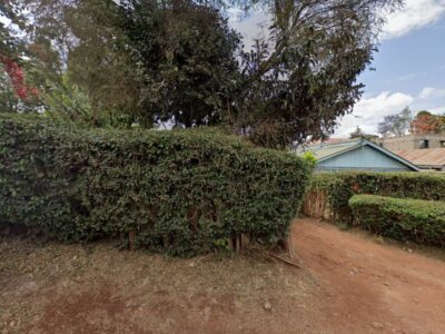 Enya Junior Primary
