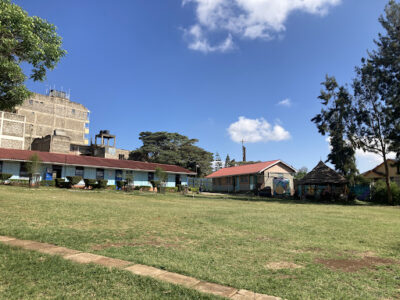Emanuela Mazzola School