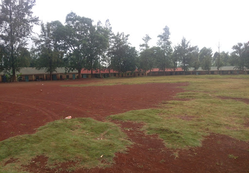 Nembu Pri Sch