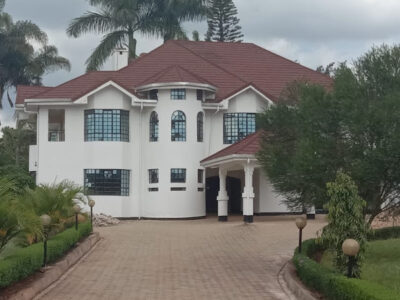 Mindas Investment Properties