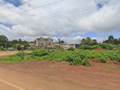 Ngure Primary School