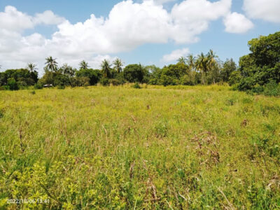 Madaraka Homes Limited