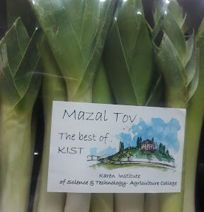 Karen Institute College Of Agriculture