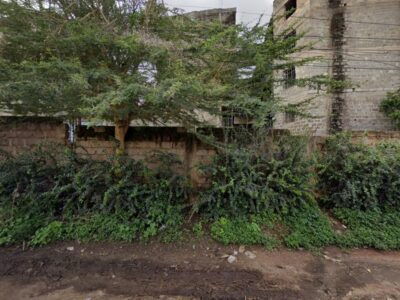 Mbagathi View High School