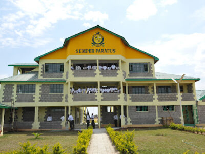 The Corner Brook School