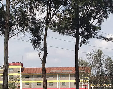 Le Pic Primary School