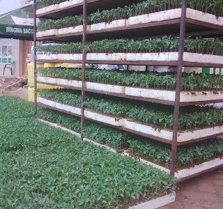Madan Agrovet Supplier Kagio