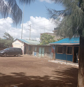Young Stars Primary Sch