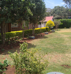 Nairobi Great Commision School