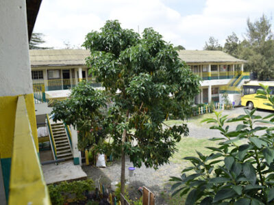 Thorn Tree School