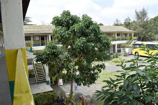 Thorn Tree School