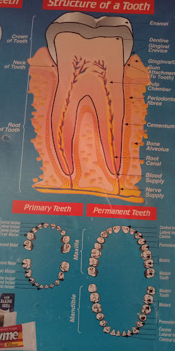 Family Smiles Dental Clinic-Nyeri