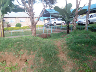 S.A. Joytown Special Primary School For Children With Physical Challenges