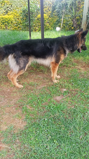 Nicmah Agrovet, Naromoru