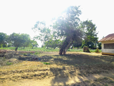 Mims Properties