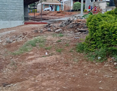 Gsu Primary School