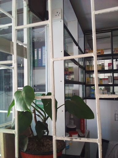 Elmo Premium Medical Clinic.