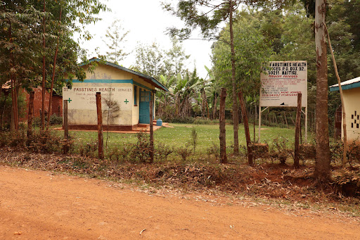 St Faustines Health Services