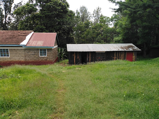 Hoymas Kenya (Nyeri Branch)