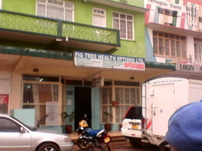 Fig Tree Health Options