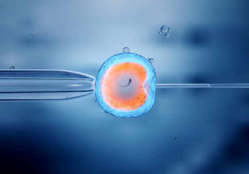 Creation Fertility Centre