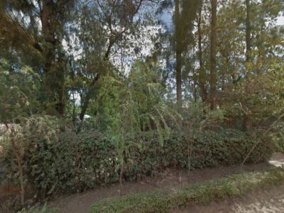 Viva Afya-Kahawa West