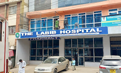 The Labib Hospital