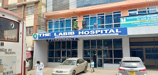 The Labib Hospital