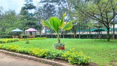 Integrative & Holistic Mental Hospital - Karen